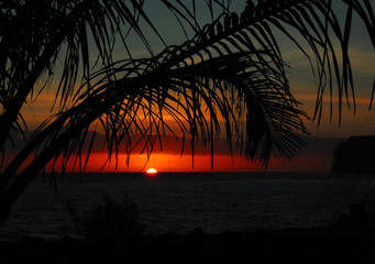 植物大战僵尸一共多少关 植物大战僵尸关卡介绍