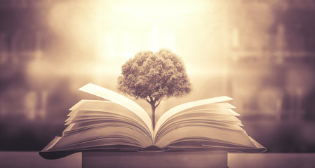 六个白手起家的创业案例