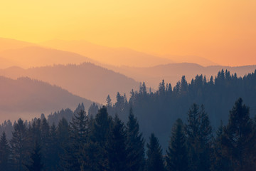 六个白手起家的创业案例