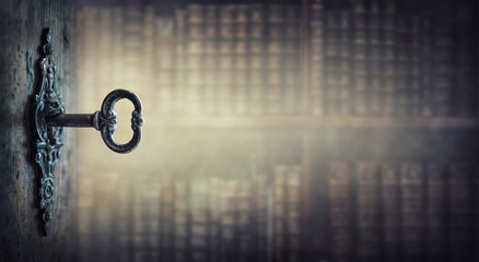 鉴宝专家马未都