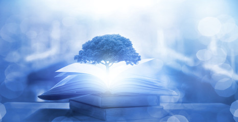 梦幻西游手游僵尸大作战攻略 中元节僵尸大作战怎么玩