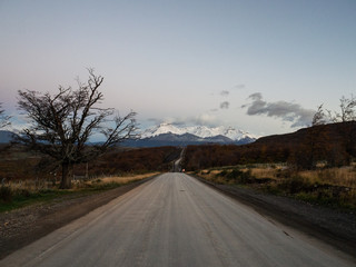 植物大战僵尸一共多少关 植物大战僵尸关卡介绍