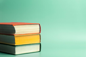 鉴宝专家马未都