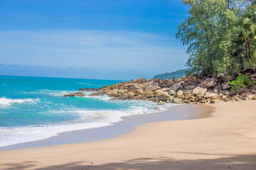 小学综合实践课优秀说课稿