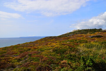 十大最有用的兴趣班