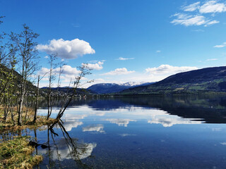 防灾减灾的内容怎么写 防灾减灾的内容有哪些