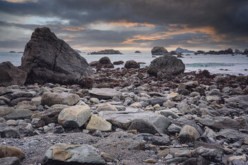 鉴宝专家马未都