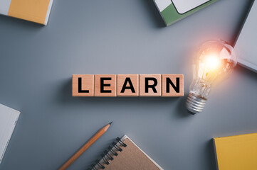 鉴宝专家马未都