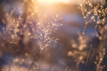 中国当代创新人物事迹