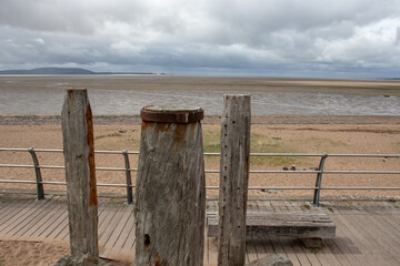 植物大战僵尸一共多少关 植物大战僵尸关卡介绍