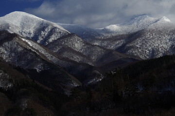 鉴宝专家马未都
