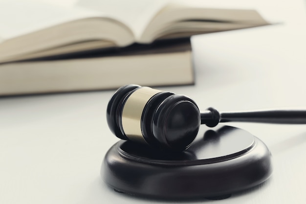 鉴宝专家马未都