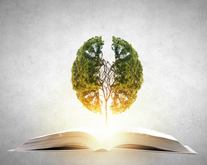 叶片一能进行光合作用着部位是（　　）A．只有表皮细胞B．只有叶肉细胞C．只有保卫细胞D．所有含叶绿体的