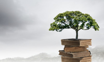 叶片一能进行光合作用着部位是（　　）A．只有表皮细胞B．只有叶肉细胞C．只有保卫细胞D．所有含叶绿体的