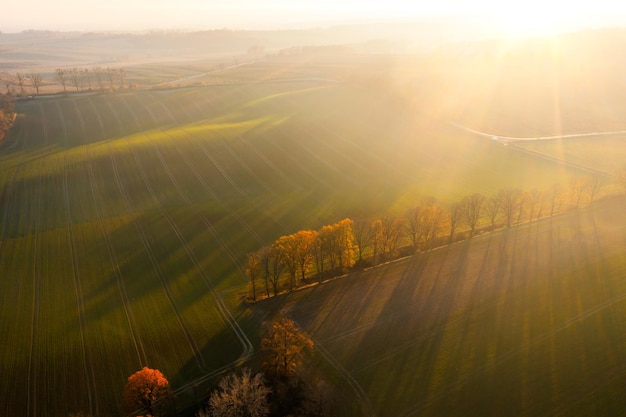 植物大战僵尸一共多少关 植物大战僵尸关卡介绍