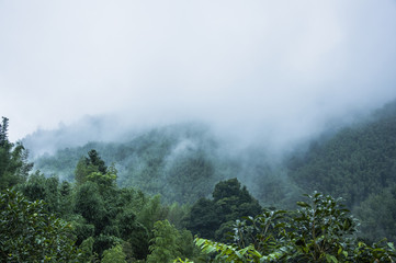 村上春树哪几本书比较好看呢？